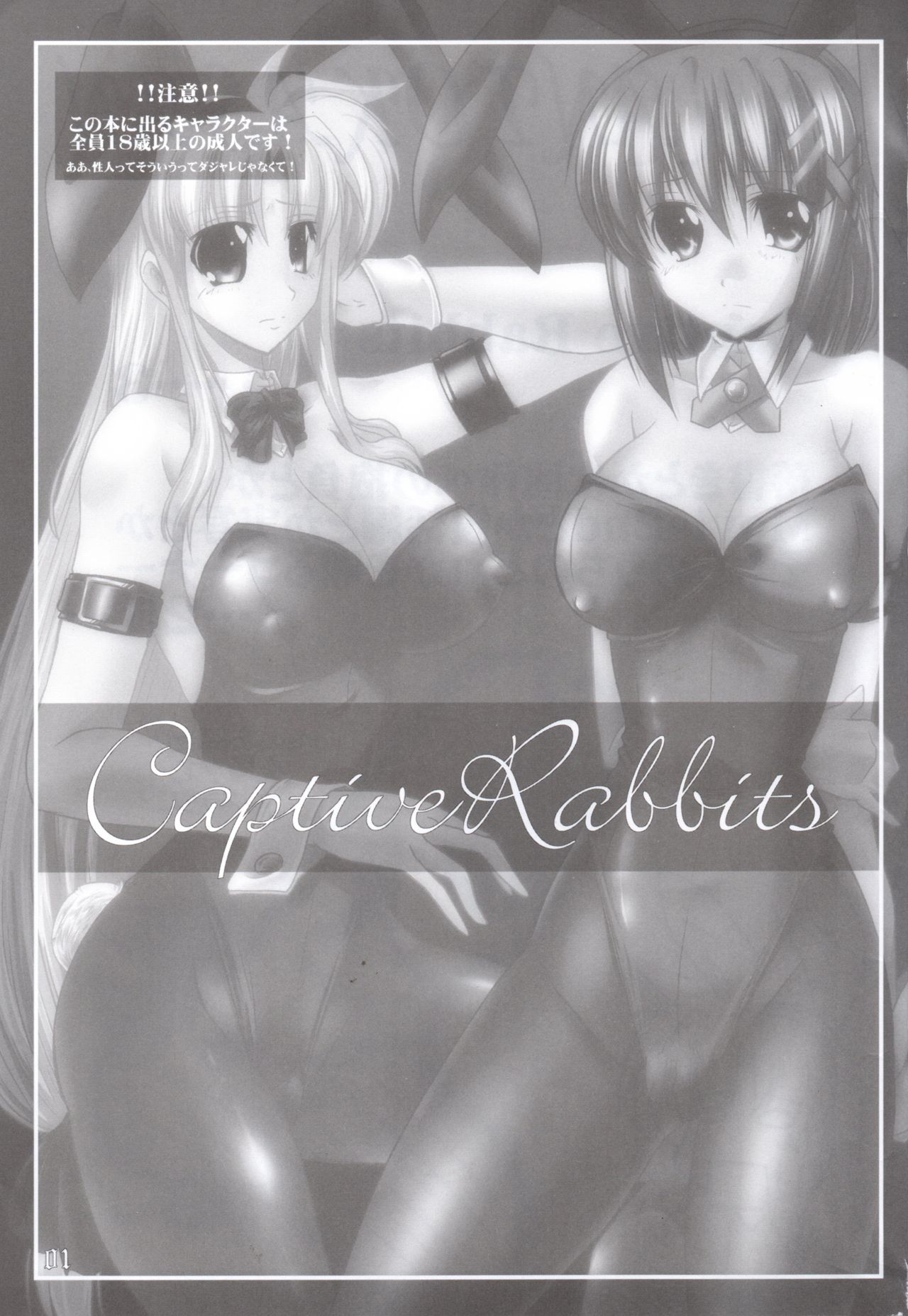 (C79) [WARP Co (45ACP)] Captive Rabbitl (Mahou Shoujo Lyrical Nanoha) (C79) [WARP商会 (45ACP)] Captive Rabbitl (魔法少女リリカルなのは)
