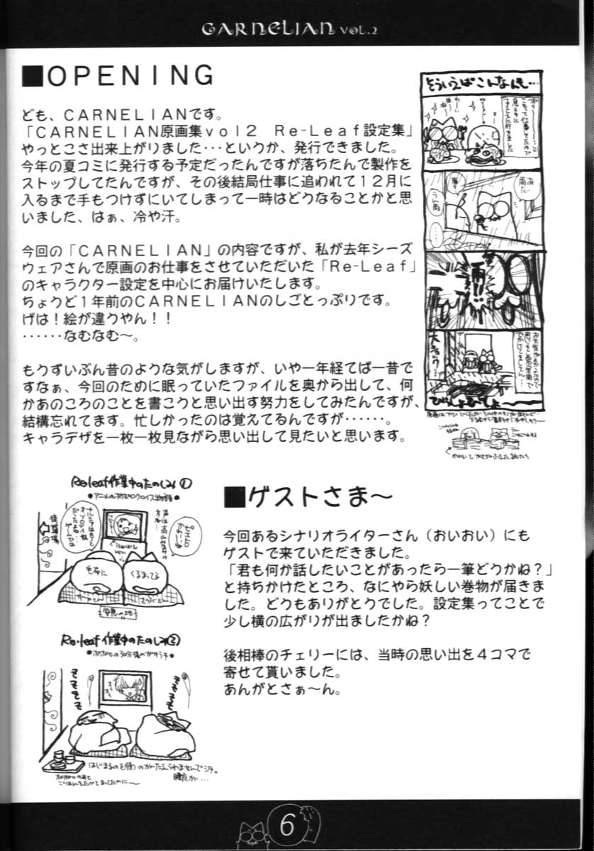 [CARNELIAN] CARNELIAN vol.2  - Re&middot;Leaf Settei Shiryou Tsudo [CARNELIAN] CARNELIAN vol.2  - Re&middot;Leaf 設定資料集