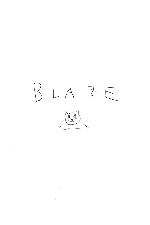 (C77) [Blaze (Scotch / Sukocchi] コピー本 (Bakemonogatari) 
