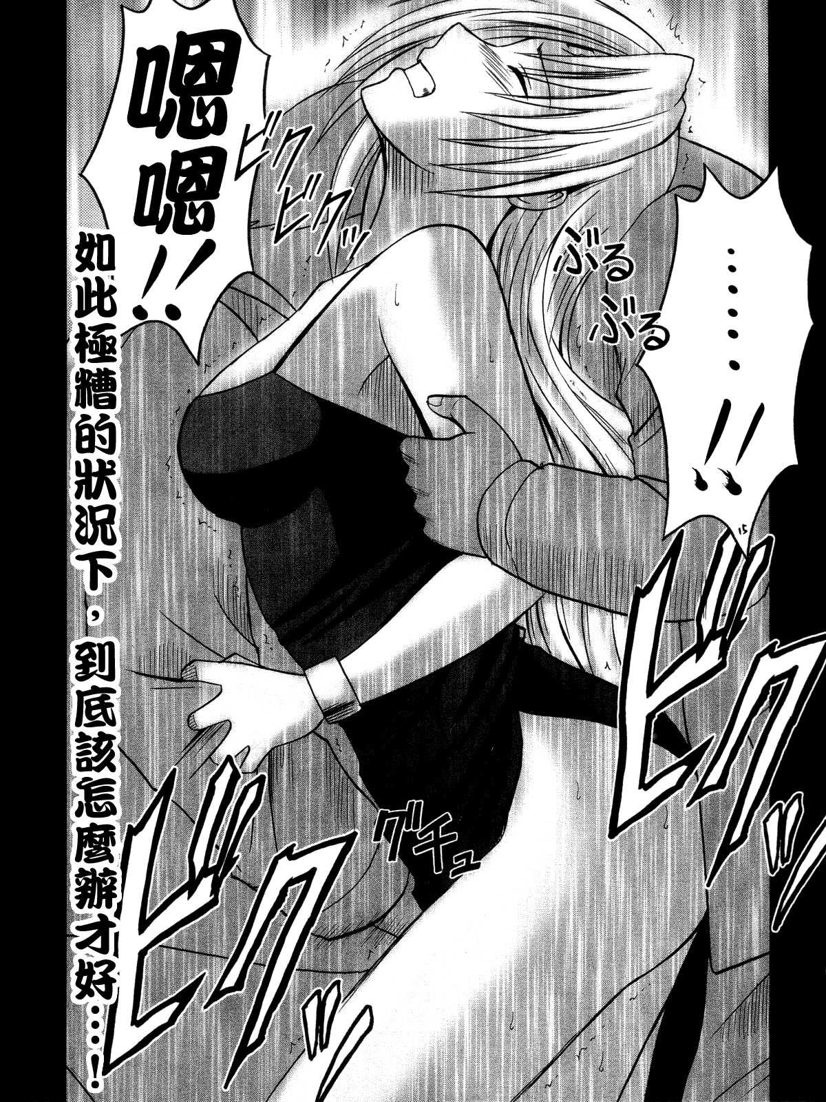 [Crimson Comics] Sephiria Hard 3 (Black Cat)(chinese) (同人誌) [クリムゾン] セフィリアハード 3 (BLACK CAT) [冬瓜漢化]