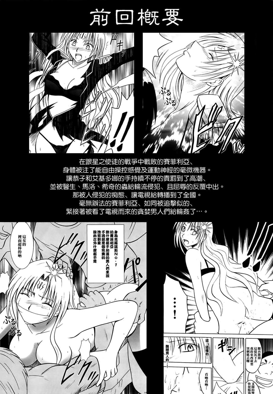 [Crimson Comics] Sephiria Hard 2 (Black Cat)(chinese) (同人誌) [クリムゾン] セフィリアハード 2 (BLACK CAT) [冬瓜漢化]
