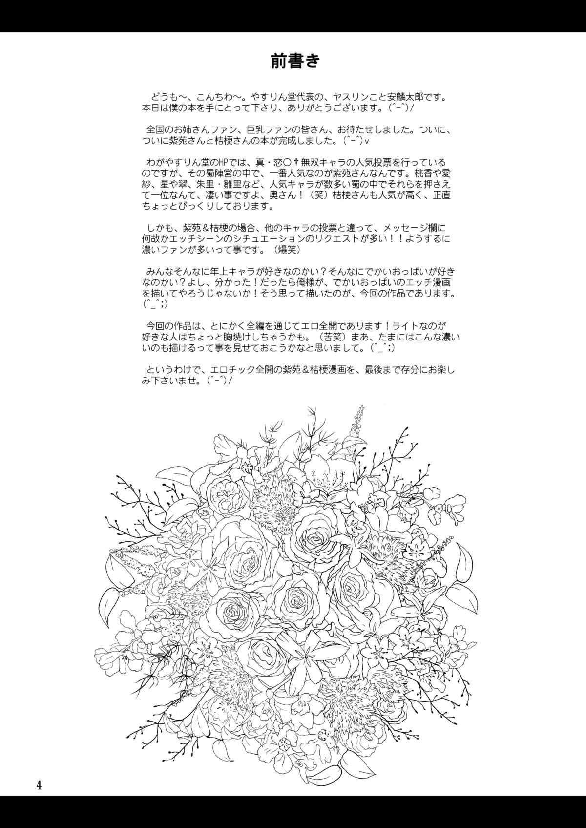 (C78) [YASRIN-DO (Yasu Rintarou)] Shinnyuu Musou (Shin Koihime Musou) [Digital] (C78) [やすりん堂(安麟太郎)] 神乳＊無双 DL版 (真・恋姫&dagger;無双) [RJ070903]