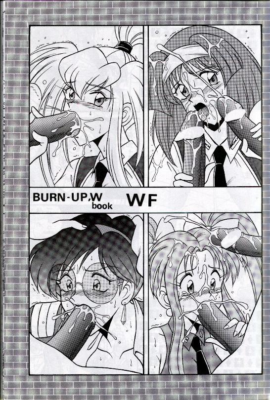 WF (Burn Up W) 