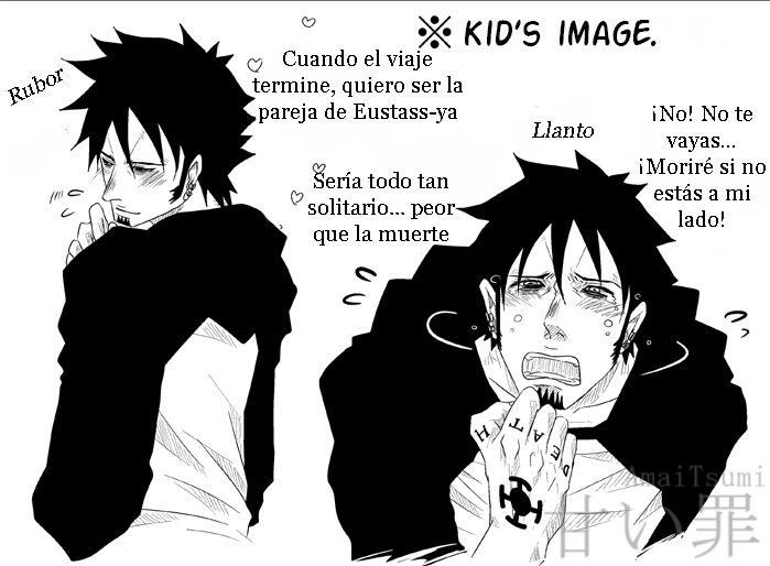 A question for Kid-san (one piece) - Spanish 